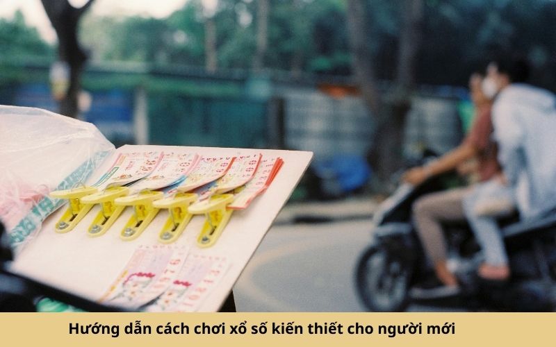 Hướng dẫn cách chơi xổ số kiến thiết cho người mới